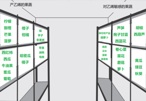 ？怎样存放更健康？一文了解→J9九游会哪些果蔬适合放冰箱(图1)