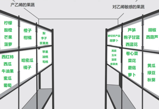 ？怎样存放更健康？一文了解→J9九游会哪些果蔬适合放冰箱(图2)